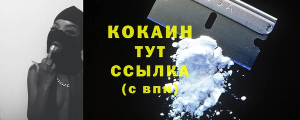 соль ск Алзамай