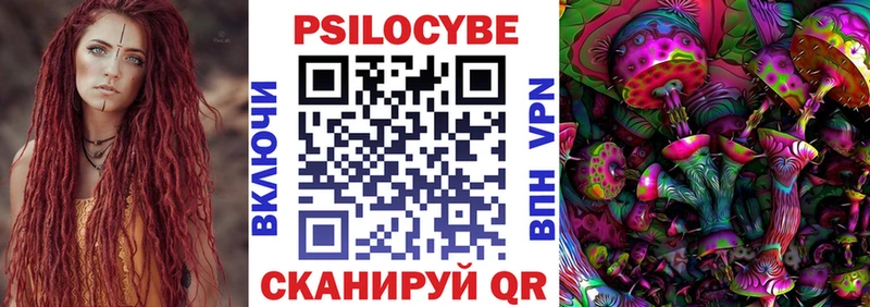 магазин продажи   Пугачёв  Псилоцибиновые грибы GOLDEN TEACHER 