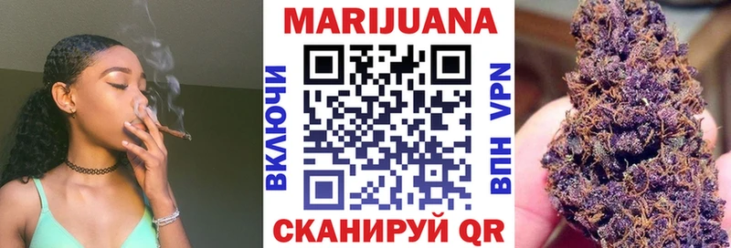 где можно купить   Пугачёв  Бошки марихуана OG Kush 